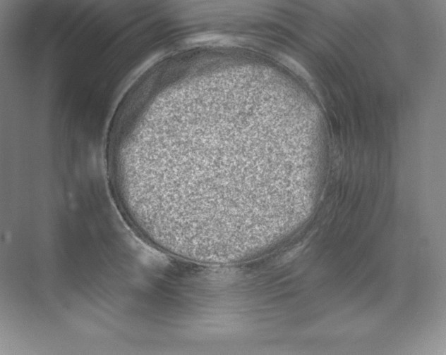 X0000074211090200609221935