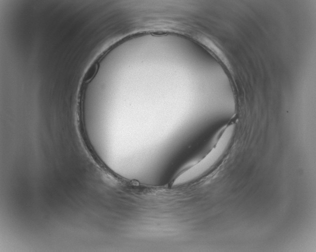 X0000074211093200609221935