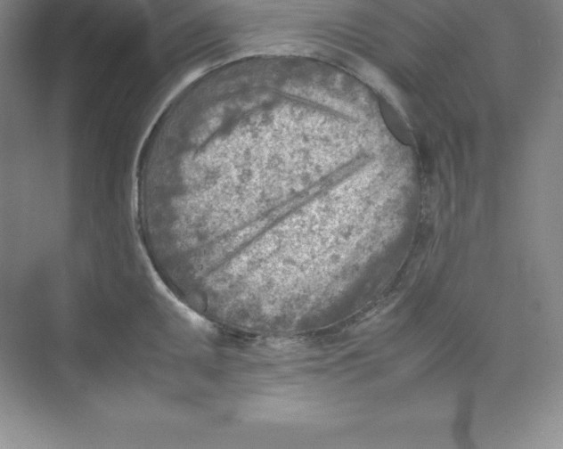 X0000074211095200609221935