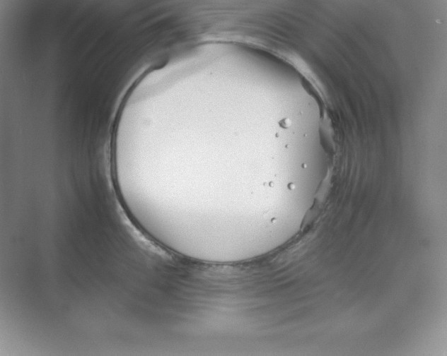 X0000074211100200609221935