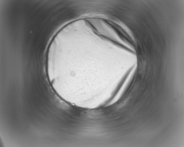 X0000074211102200609221935