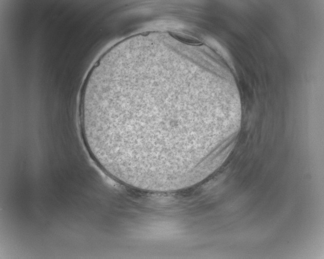 X0000074211103200609221935