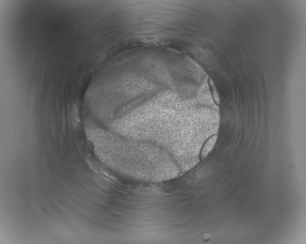 X0000074211106200609221934