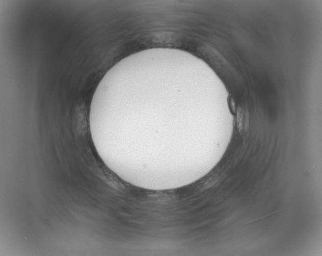 X0000074211107200609221934