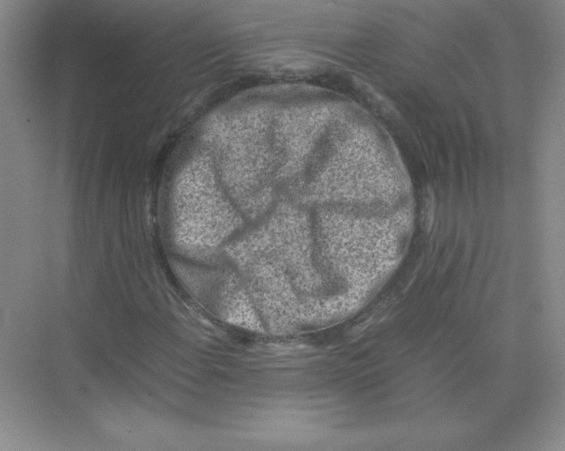 X0000074211108200609221934