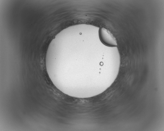 X0000074211109200609221934