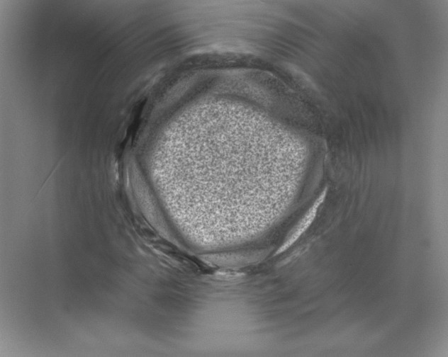 X0000074211110200609221934