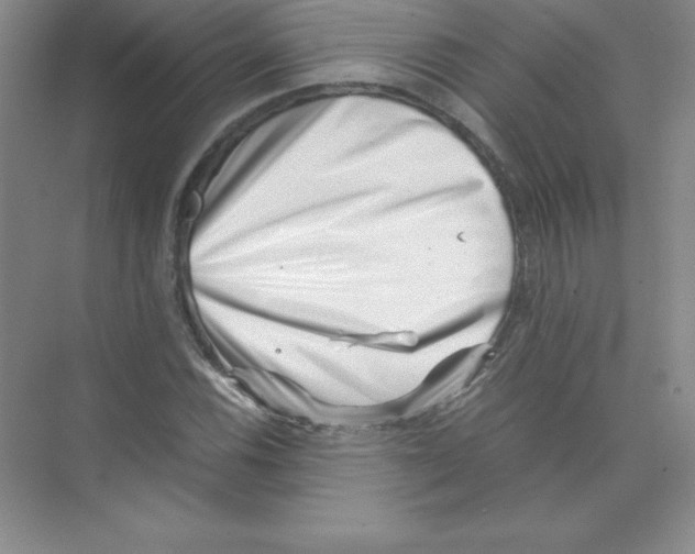 X0000074211116200609221934