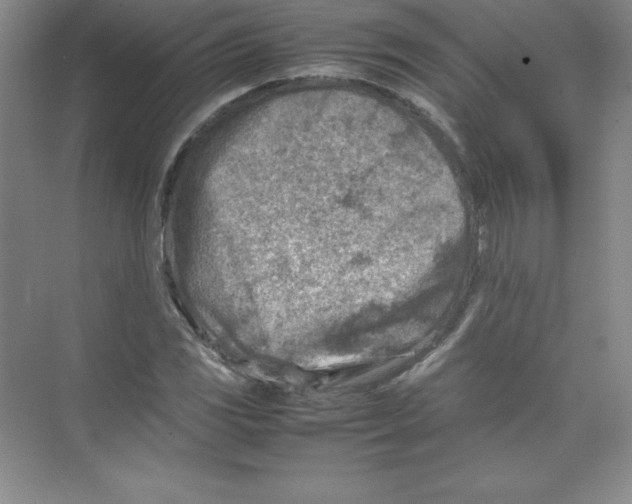 X0000074211117200609221934