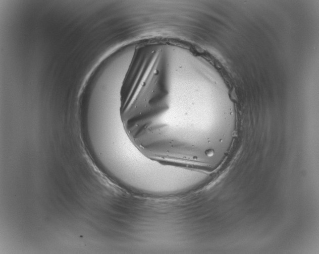 X0000074211118200609221934