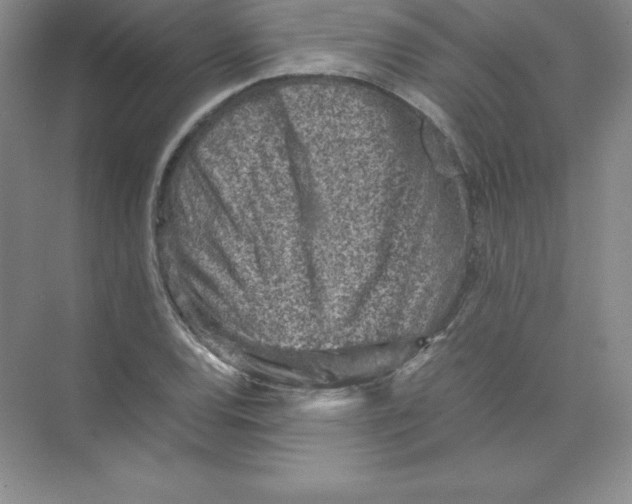 X0000074211120200609221934