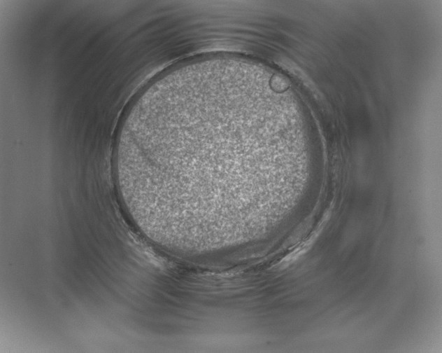 X0000074211121200609221934