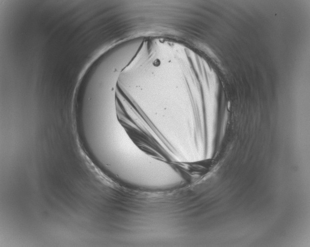 X0000074211122200609221934