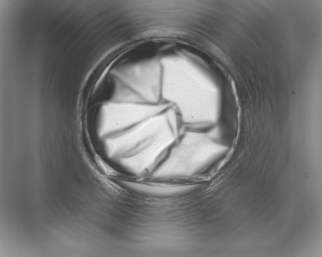 X0000074211124200609221934