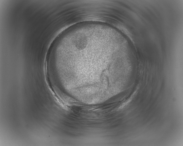 X0000074211125200609221934