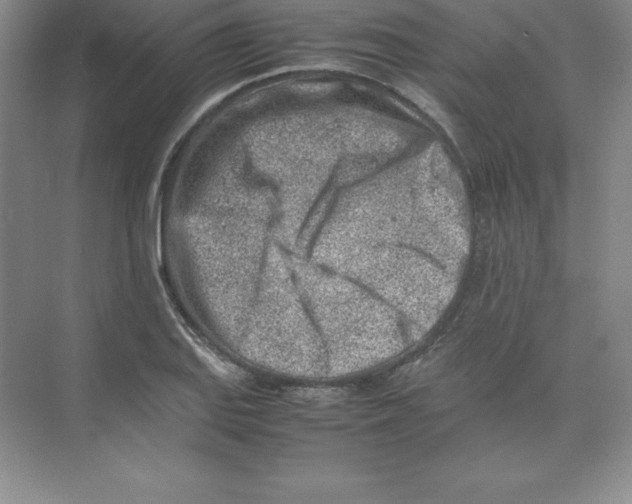 X0000074211127200609221934