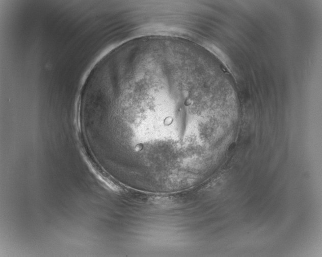 X0000074211128200609221934