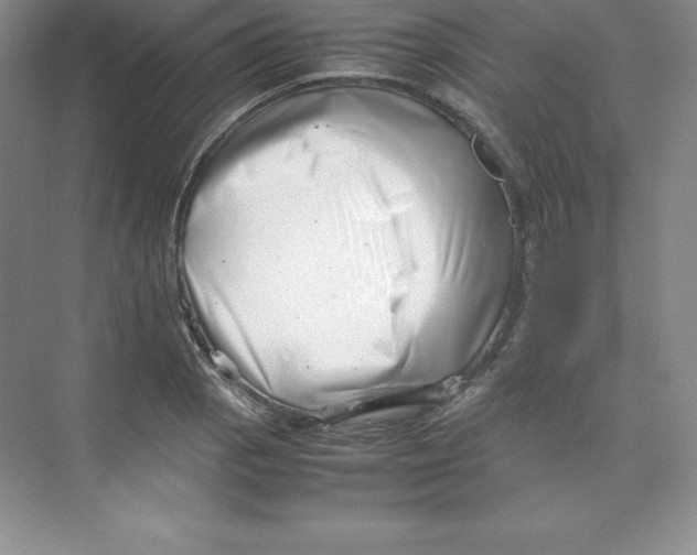 X0000074211129200609221934