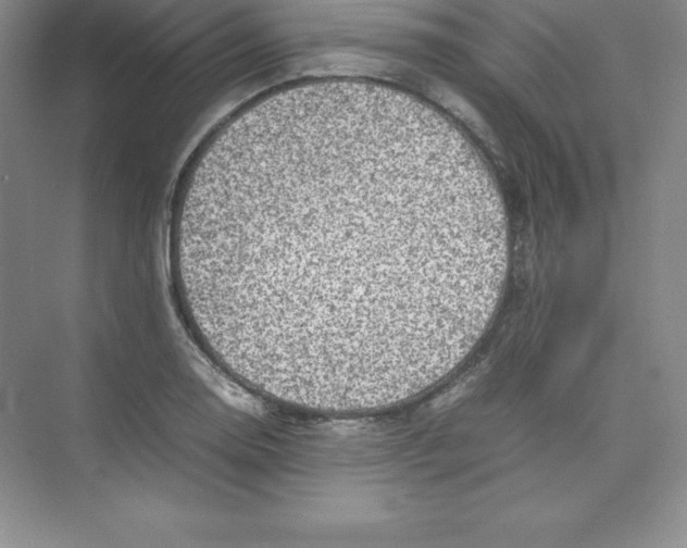 X0000074211130200609221934