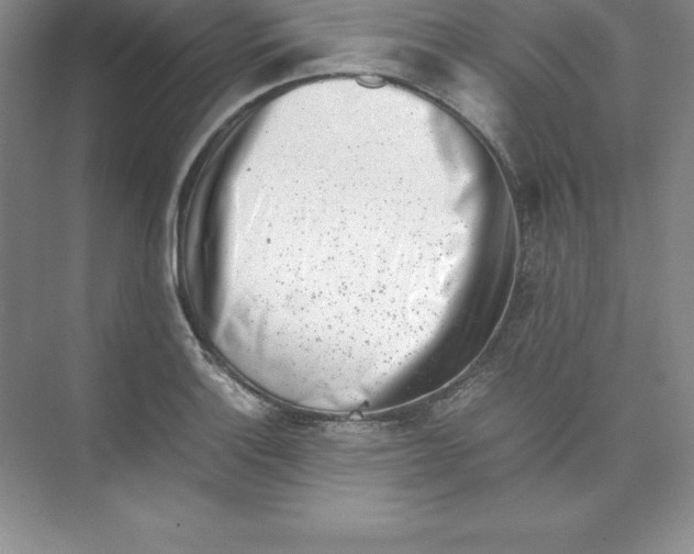 X0000074211132200609221934