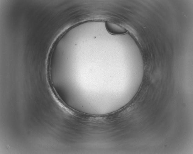 X0000074211135200609221934