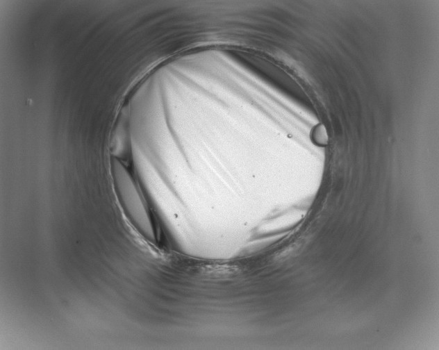 X0000074211137200609221935