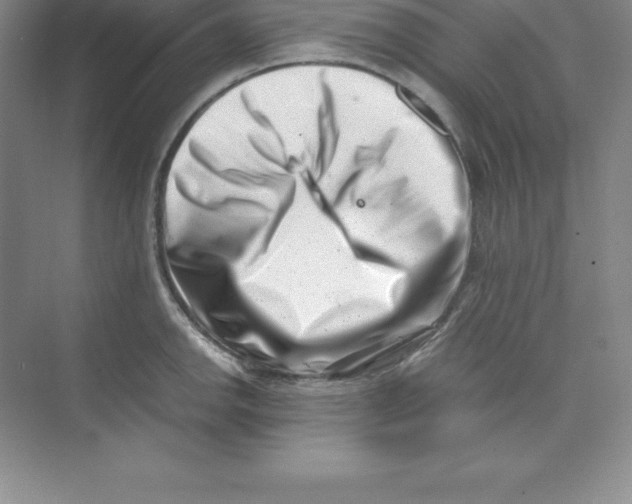 X0000074211142200609221935