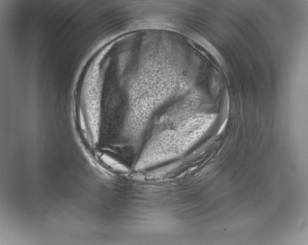 X0000074211144200609221935