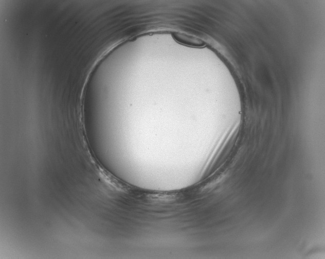 X0000074211145200609221935