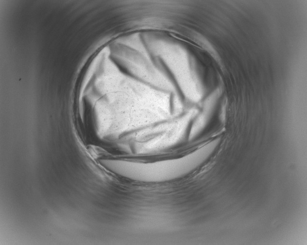 X0000074211146200609221935