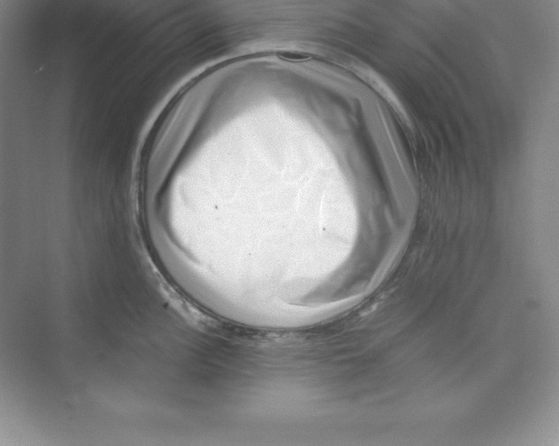 X0000074211148200609221935