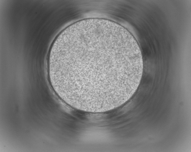 X0000074211150200609221935