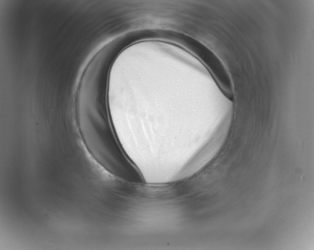 X0000074211152200609221935