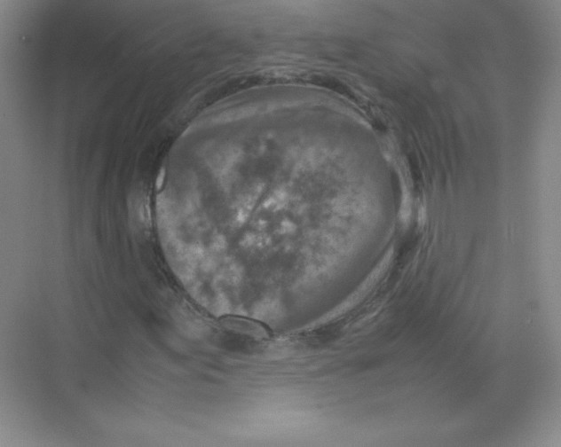 X0000074211155200609221934