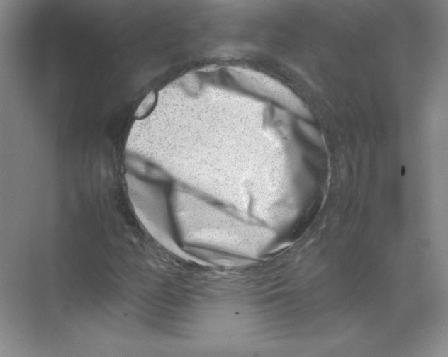 X0000074211158200609221934