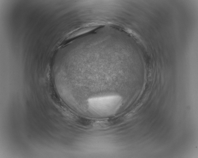 X0000074211161200609221934