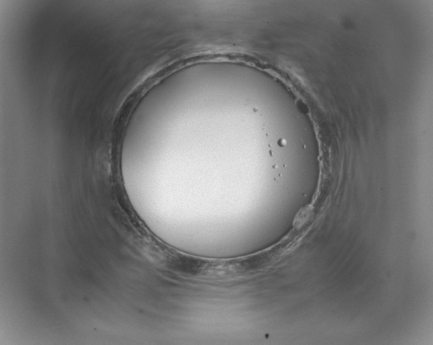 X0000074211165200609221934