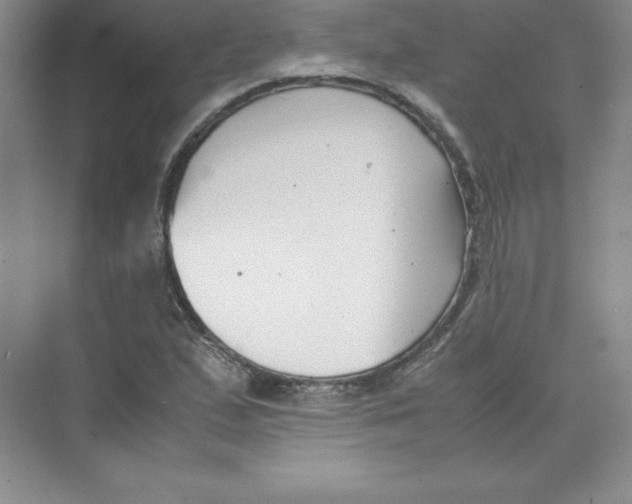 X0000074211167200609221934