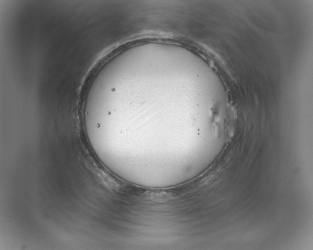 X0000074211168200609221934