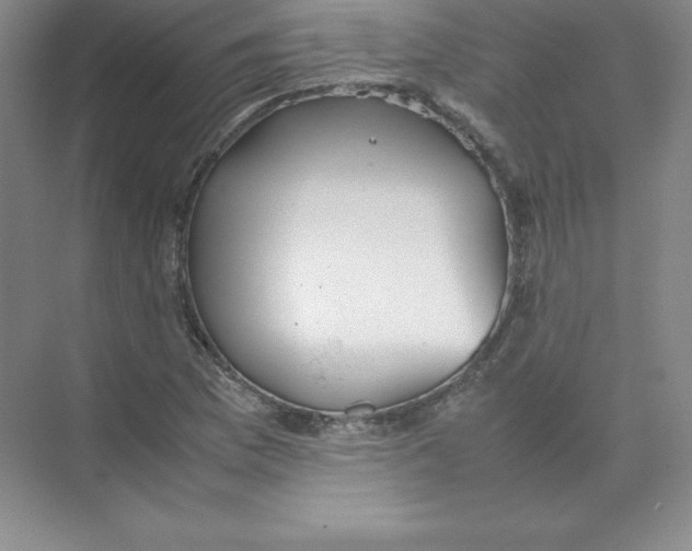 X0000074211169200609221934