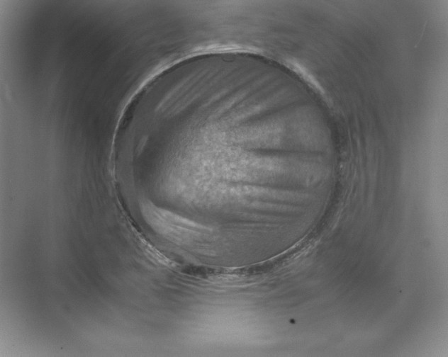 X0000074211173200609221934