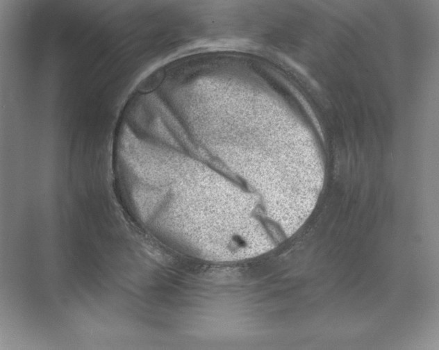 X0000074211174200609221934