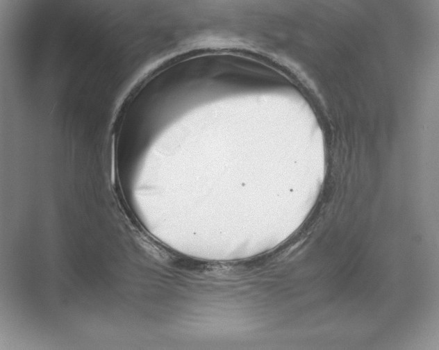 X0000074211175200609221934