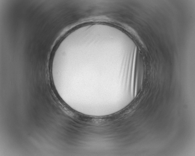 X0000074211176200609221934