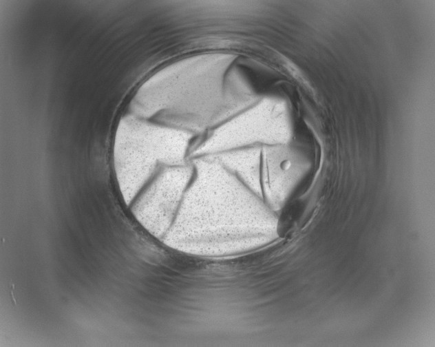 X0000074211178200609221934