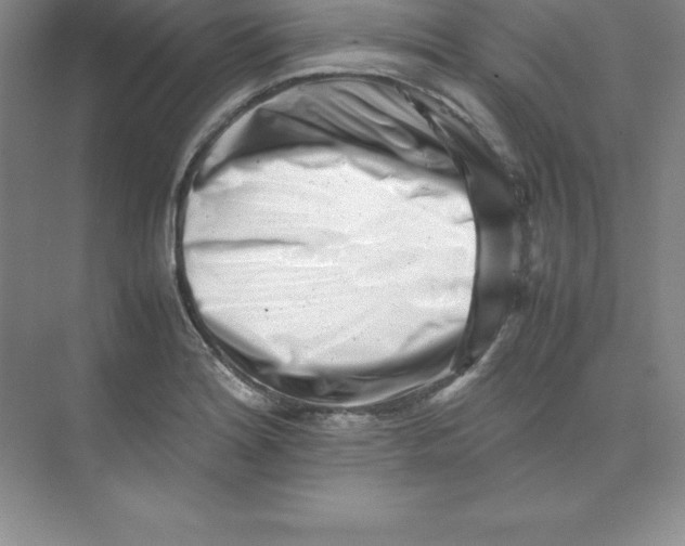 X0000074211180200609221934