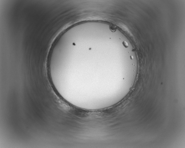 X0000074211181200609221934