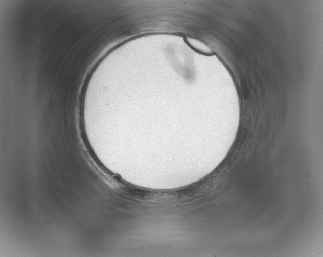 X0000074211187200609221933