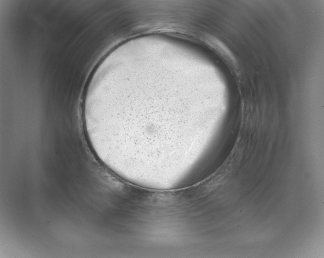 X0000074211190200609221933