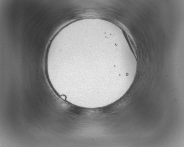 X0000074211195200609221933